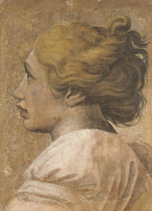 Head of a youth in profile to the left Cartoon for a tapestry