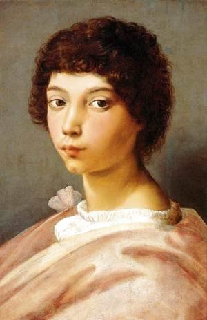 Raphael - Portrait of a Young Man 2