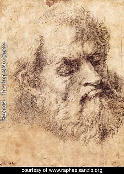 Raphael - Study of the Head of an Apostle