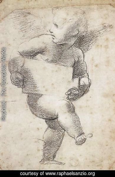 Raphael - Winged Putto with Cartello