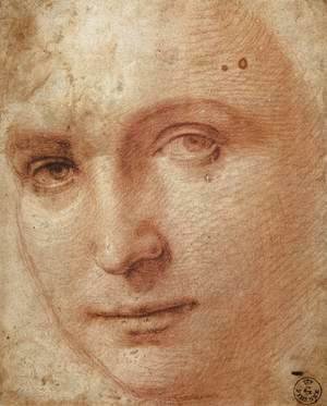 Raphael - Head of a Youth