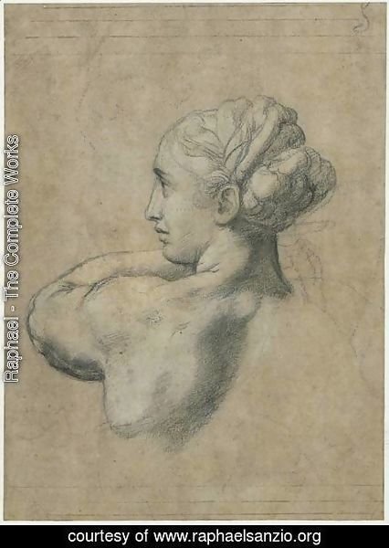 Raphael - Head Of A Woman