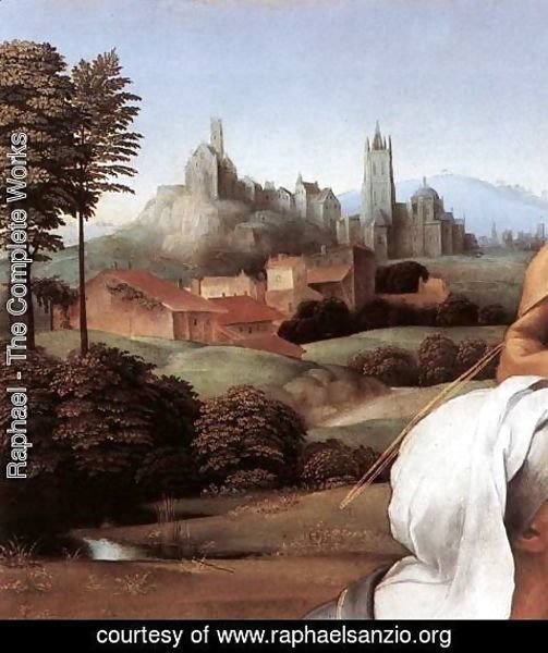 Raphael - The Canigiani Madonna (detail) 2