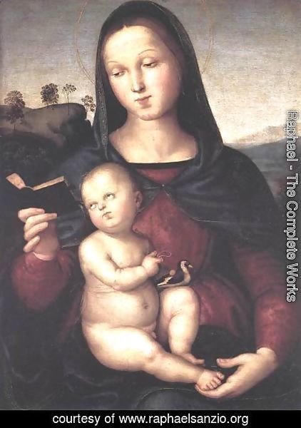 Raphael - Solly Madonna 1502