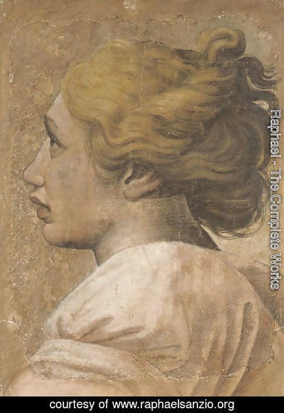Raphael - Head of a youth in profile to the left Cartoon for a tapestry