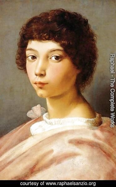 Raphael - Portrait of a Young Man 2