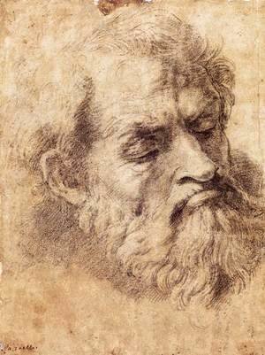 Raphael - Study of the Head of an Apostle