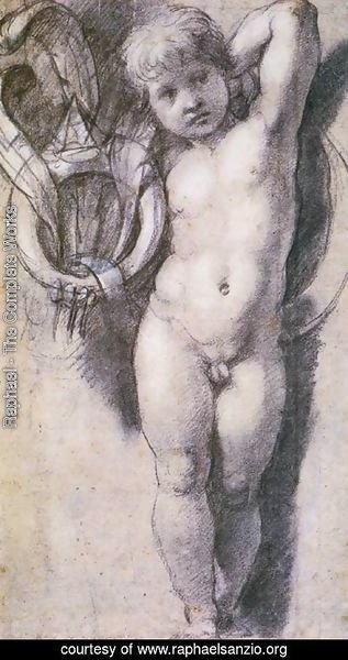 Raphael - Putto with Medici Symbols