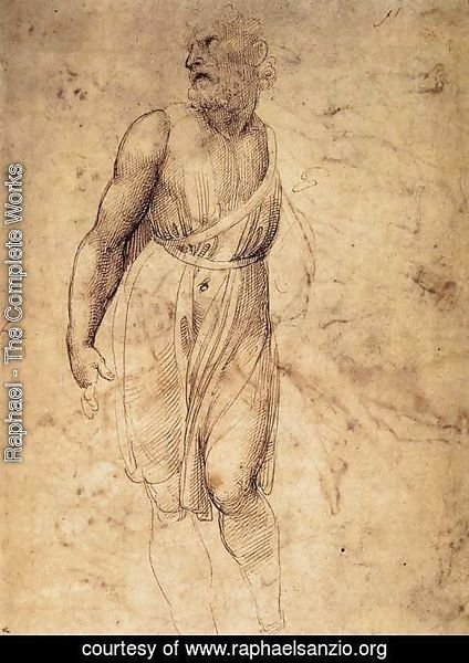 Raphael - Study after Michelangelo's St Matthew