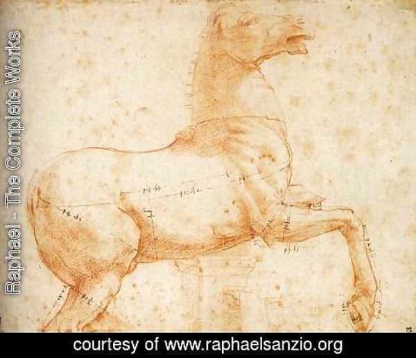 Raphael - Study of a Sculpture of a Horse