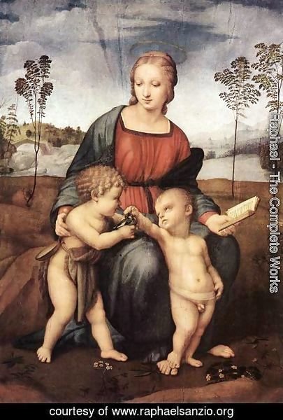 Raphael - The Madonna of the Goldfinch 2