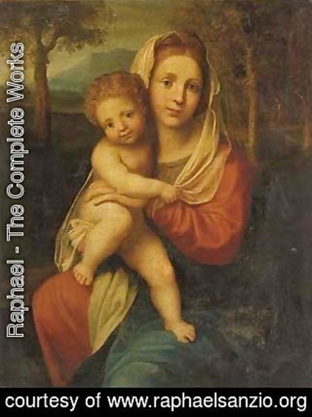 Raphael - The Madonna and Child 6