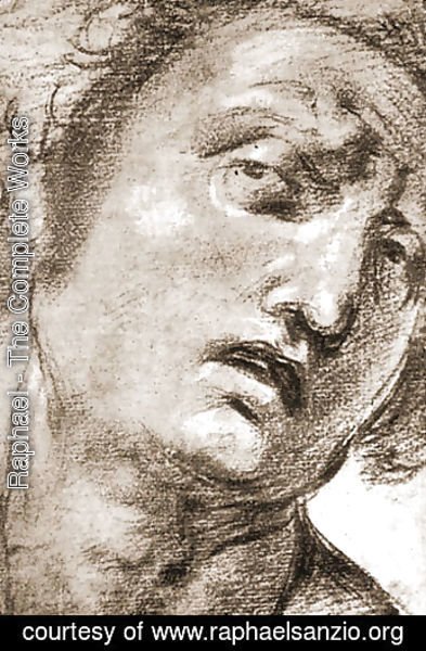 Raphael - Study for the Head
