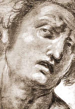 Raphael - Study for the Head