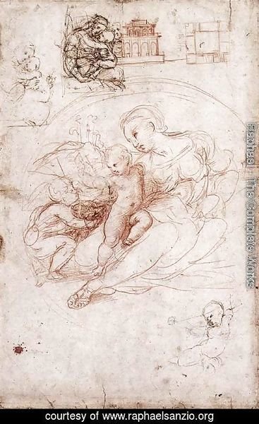 Raphael - Madonna Studies